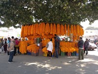 <div id=myiframe><iframe src=http://www.facebook.com/plugins/like.php?href=http%3A%2F%2Fsajha%2Ecom%2Fsajha%2Fhtml%2Findex%2Ecfm%3Frecommendations%3D1%26id%3D190%26photofile%3DIMG%5F20161029%5F105809%2Ejpg&layout=standard&show_faces=false&share=true&width=450&action=like&colorscheme=dark&height=15 scrolling=no frameborder=0 allowTransparency=true></iframe></div>